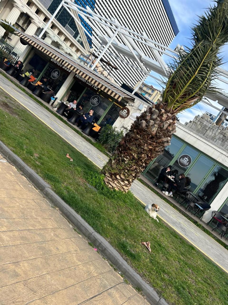 Hotel Paris Batumi Ngoại thất bức ảnh
